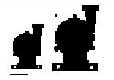 wpe24.jpg (2036 bytes)